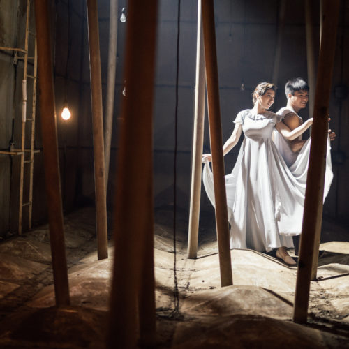 VR Films 5x1-Butterfly Dance