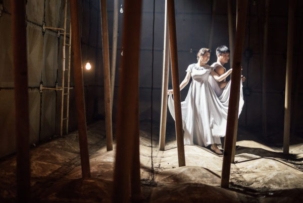 VR Films 5x1-Butterfly Dance