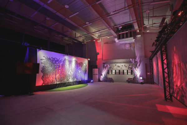 2019高雄海洋文化與流行音樂中心展映